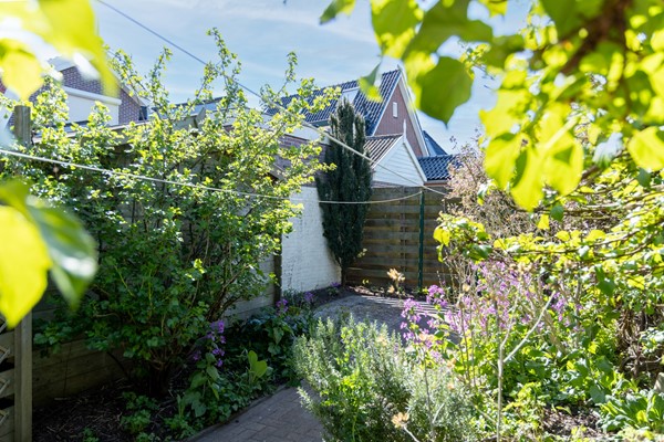 Tuin 2.jpg
